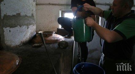 митничари затвориха нелегални винпроми пещера перущица