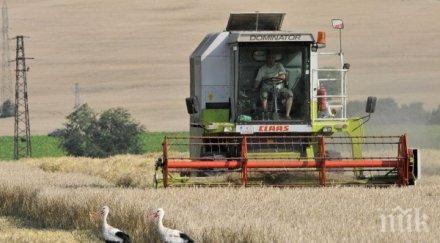 всеки пети българин село копае гледа животни