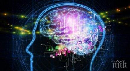 чудо откриха метод изтриване спомени