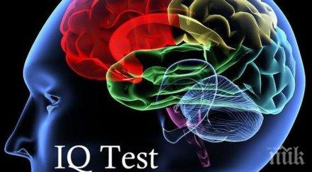 внимание нова измама мрежата тест интелигентност лева