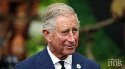 разкритията продължават принц чарлз също попадна досиетата рая частното имение получило милиони офшорки