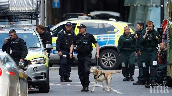 Петима души са арестувани след блокада на квартал в западната част на Лондон