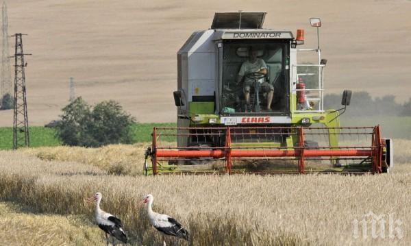 Всеки пети българин - на село, копае и гледа животни