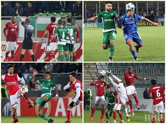 Афера: Уморени крила