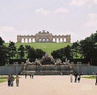 Започна сезонът на баловете във Виена