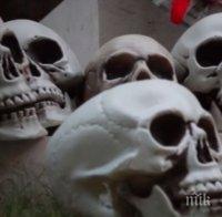 ШОК! Намериха череп в гората край Горна Оряховица