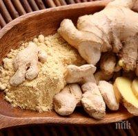 Ето пет супер храни, които ще ни държат здрави през зимата