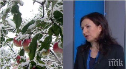 зимата идва синоптик бан мразовита прогноза сняг затрупва българия другата седмица