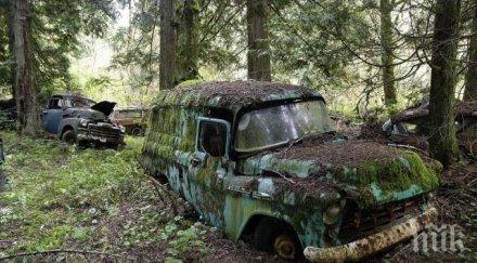 масова чистка излезли употреба коли мотори започва варна