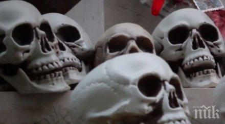 шок намериха череп гората горна оряховица