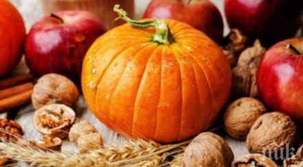 вижте каква чудодейната сила тиквата