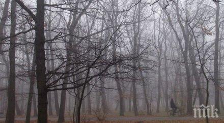 термометърът скача градуса вторник облачно
