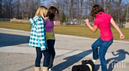 тотален шок ученички биха юмруци публика варна