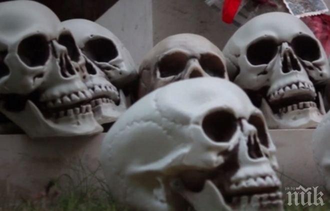 ШОК! Намериха череп в гората край Горна Оряховица