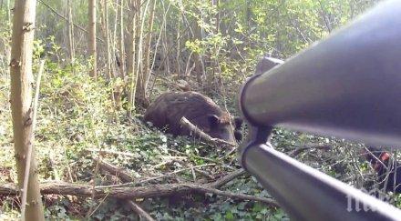 тежък инцидент гръмнаха ловец корема