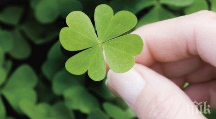 невероятно преобърнем късмета минути