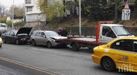 автомеле пет коли нанизаха пловдив