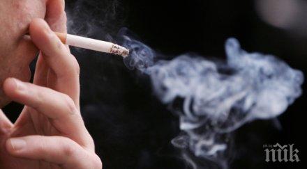 една трета българите пушат комини