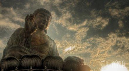 мистериозно ковчеже превърна голяма находка откриха праха буда