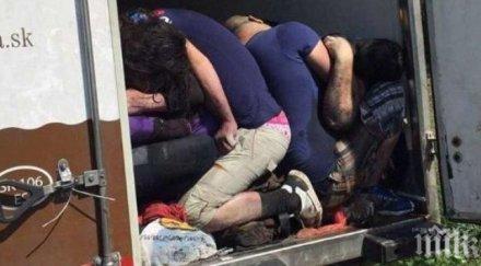 спипаха бежанци костинброд