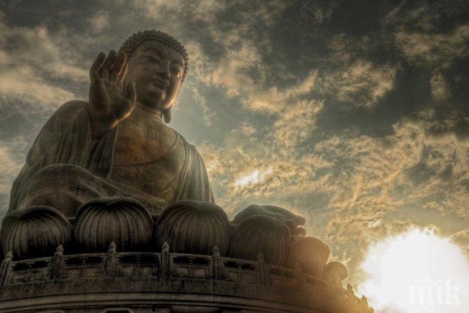 Мистериозно ковчеже се превърна в голяма находка: Откриха праха на Буда!