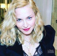 Голи снимки на Мадона предложени на търг