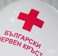 БЧК откри банкова сметка за пострадалите от кървавото меле на пътя край Микре