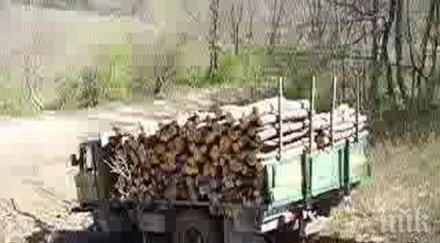 двама души задържани зверската катастрофа република марий