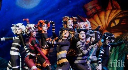 варненските котки андрю лойд уебър пристигат софия специална мисия