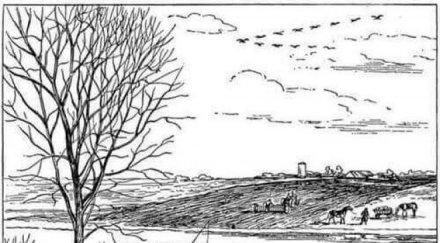 игра ума осем лесни въпроса картинката