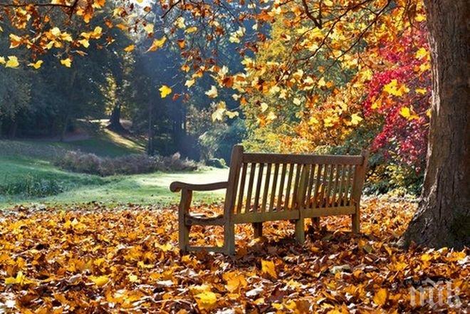 Повече слънце и по-малко облаци! Температурите днес ще достигнат 16 градуса