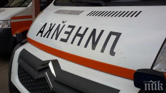 Блъснаха 13-годишно момиче на зебра в Смолян