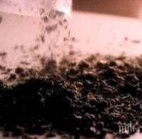 СМЪРТОНОСНА ОПАСНОСТ! Китайски 