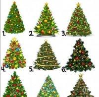 НОВОГОДИШЕН ТЕСТ: Изберете си елха и разберете каква година ви очаква