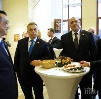 България стартира важен износ за Китай