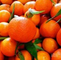Масова шашма по пазарите преди Коледа - пробутват ни вносни мандарини за БГ производство