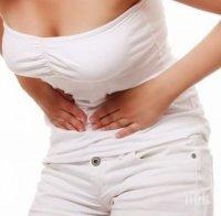 невероятно природни илачи церят гастрита