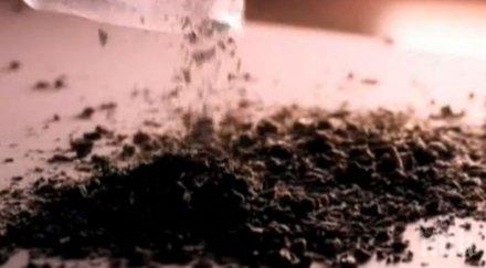 смъртоносна опасност китайски чай убива шмика продава евтино българия превръща млади хора живи трупове