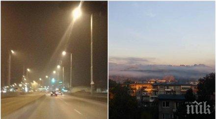 извънредно първият умрял задушаване западен парк