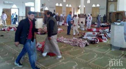 предварителното разследване потвърждава участието ислямска държава нападението джамията египет