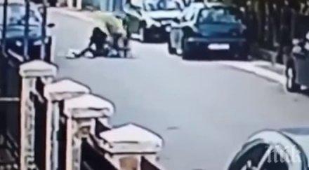 улично куче спаси жена грабител черна гора видео