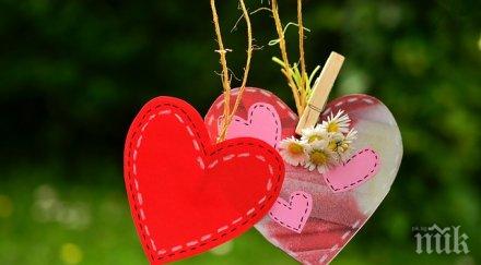 учените разкриха любовта променя мозъка