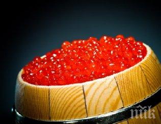 удар москва свиха хайвер хил евро