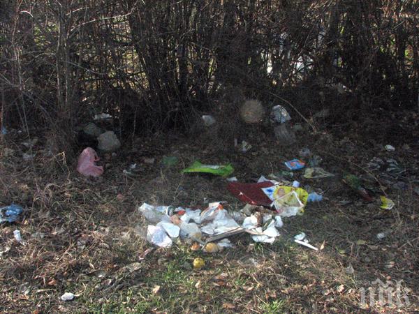 ДОБРА АКЦИЯ! Мащабно почистване на ботаническата градина в Пловдив