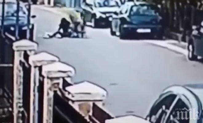 Улично куче спаси жена от грабител в Черна гора (ВИДЕО)