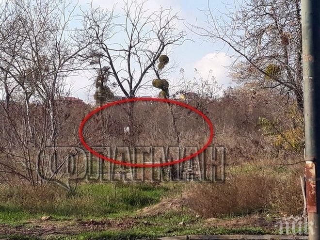 СКАНДАЛНО! Пуснаха на свобода жестоки цигани-рецидивисти, пребили общински съветник