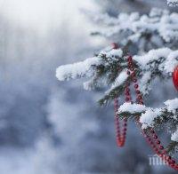 ДЕКЕМВРИ ЧУКА НА ВРАТАТА: Ще продължат ли студовете и ще има ли сняг по Коледа и Нова година?