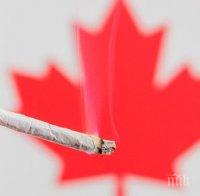 Долната камара на парламента на Канада одобри легаризирането на марихуаната
