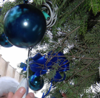 Елхата в Благоевград - 25 метра блясък за Коледа 