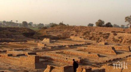 учени невероятно постижение разкриха загадка 4600 години